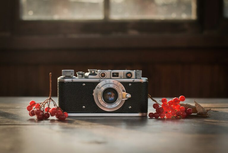Vintage silver and black camera beside red berries on a wooden surface.