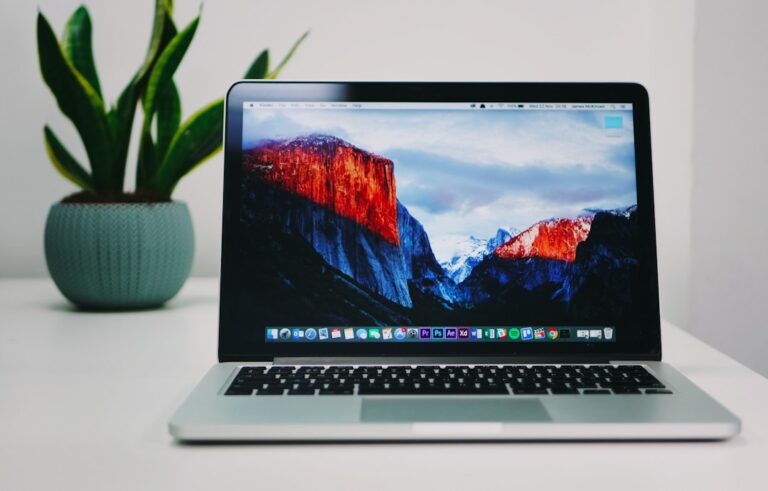 Open laptop showing a mountain wallpaper beside a potted plant