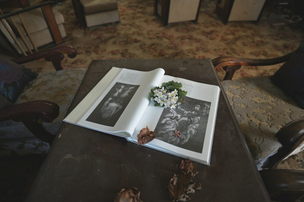An open illustrated book with small white flowers on a table between upholstered chairs.