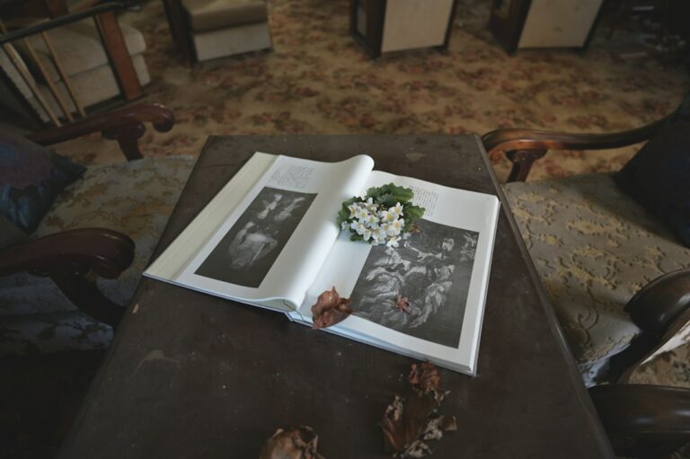 An open illustrated book with small white flowers on a table between upholstered chairs.