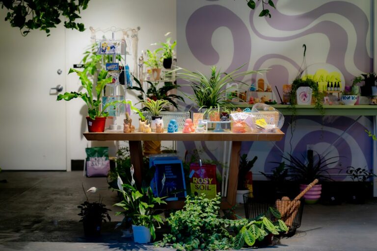 Potted plants and other items displayed in a small shop.