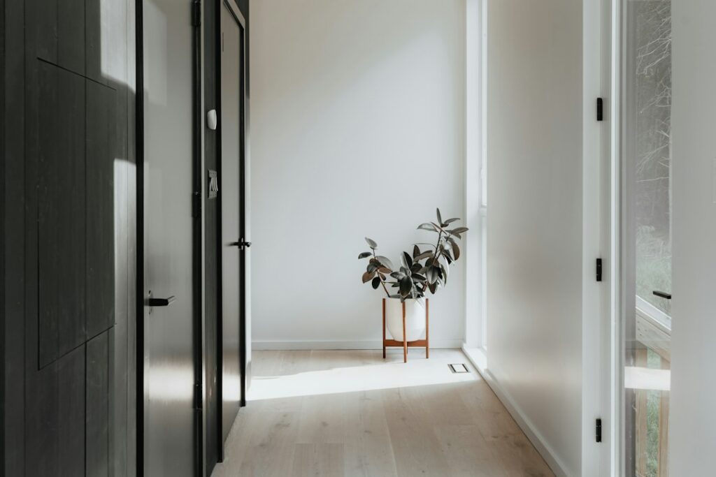 Sunlit hallway with wooden flooring, dark doors and a potted plant.