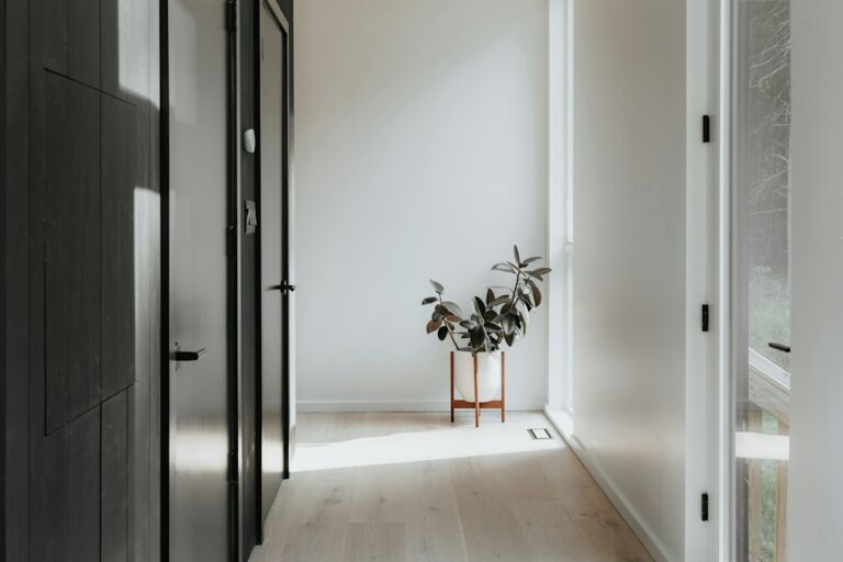 Sunlit hallway with wooden flooring, dark doors and a potted plant.