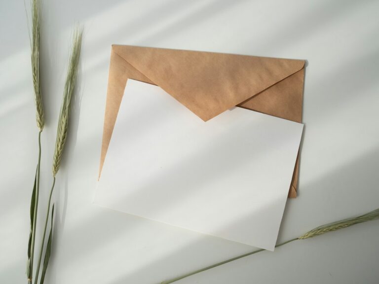 Blank white card resting on a brown envelope beside dried grasses.
