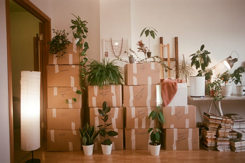 Stacked cardboard moving boxes and houseplants in a room