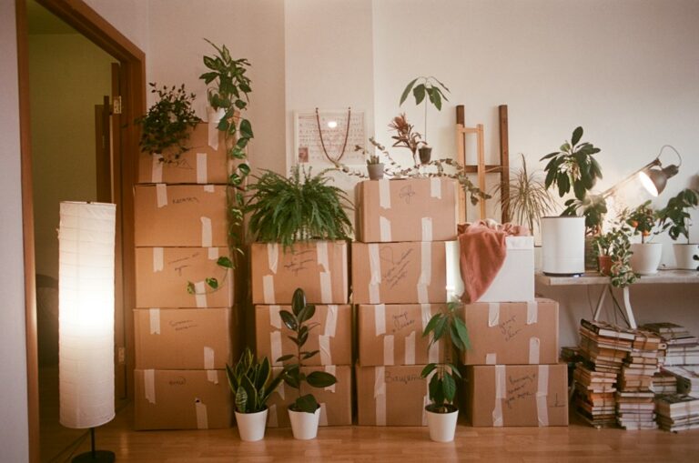 Stacked cardboard moving boxes and houseplants in a room
