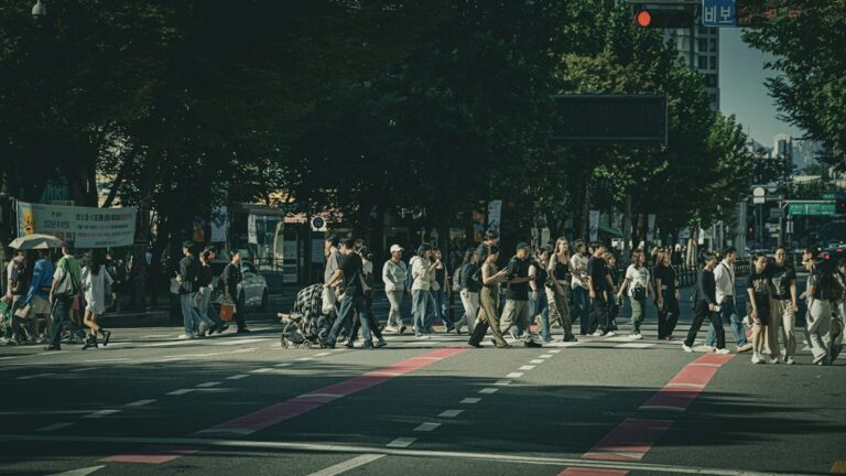 Pedestrians crossing a broad city street beneath trees.