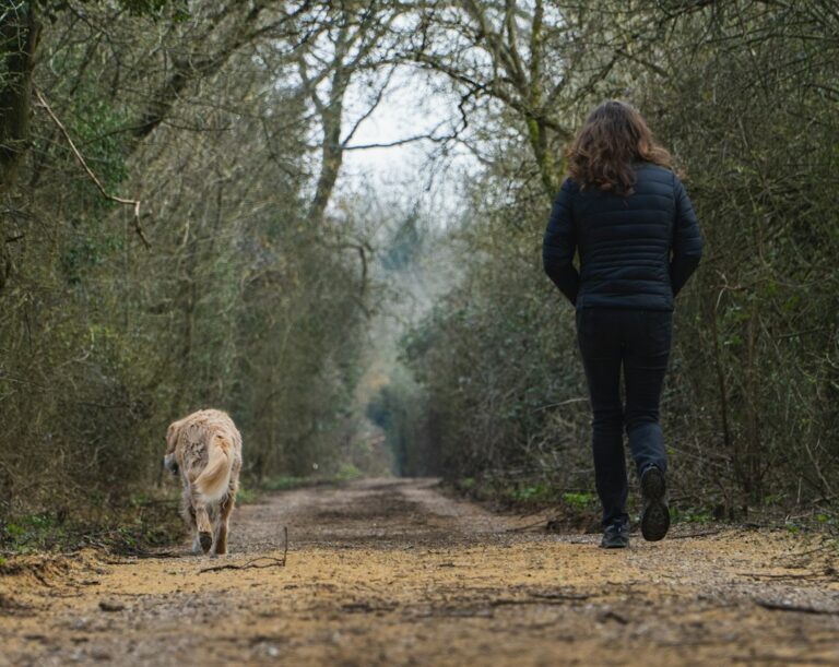 A person and a dog walking away along a wooded path, both fully visible.