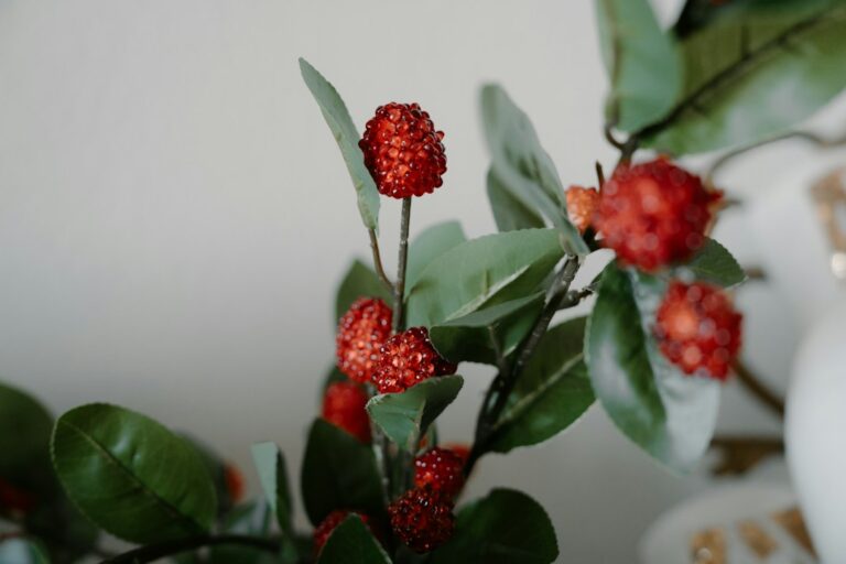 Decorative red berries and green leaves on artificial stems