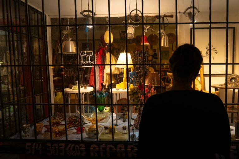 Person viewed from behind looking into a lit shop window.