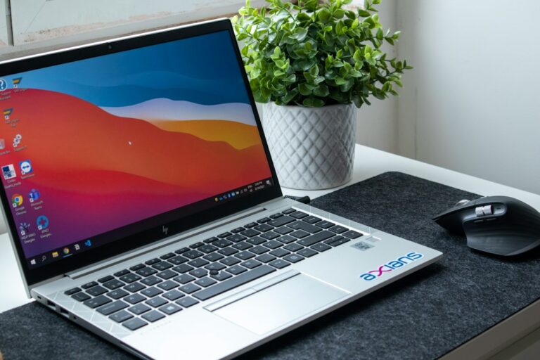 A Windows laptop and mouse on a desk beside a small plant.