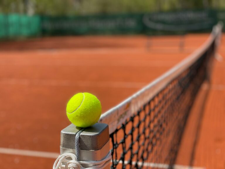 A tennis ball resting on a net post beside an empty clay court