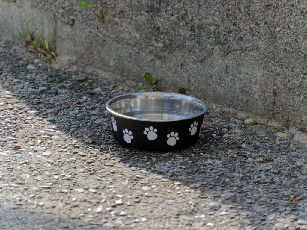 A black pet water bowl with white paw prints beside a stone wall.
