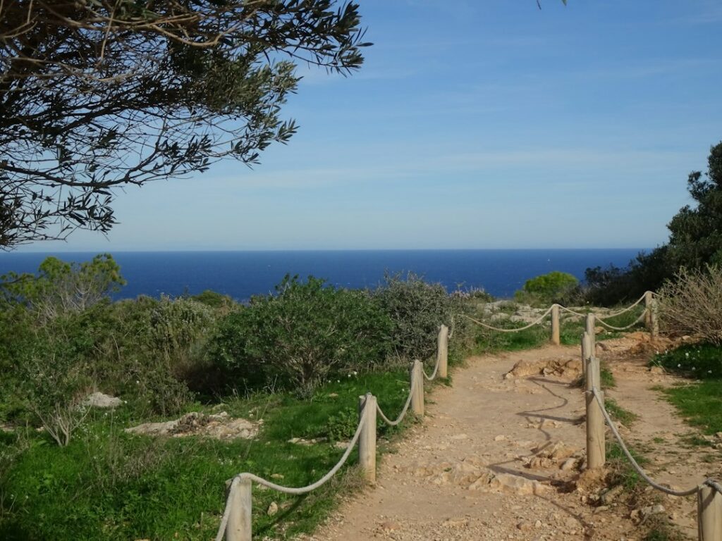 A walking path leading through green shrubs toward the sea.