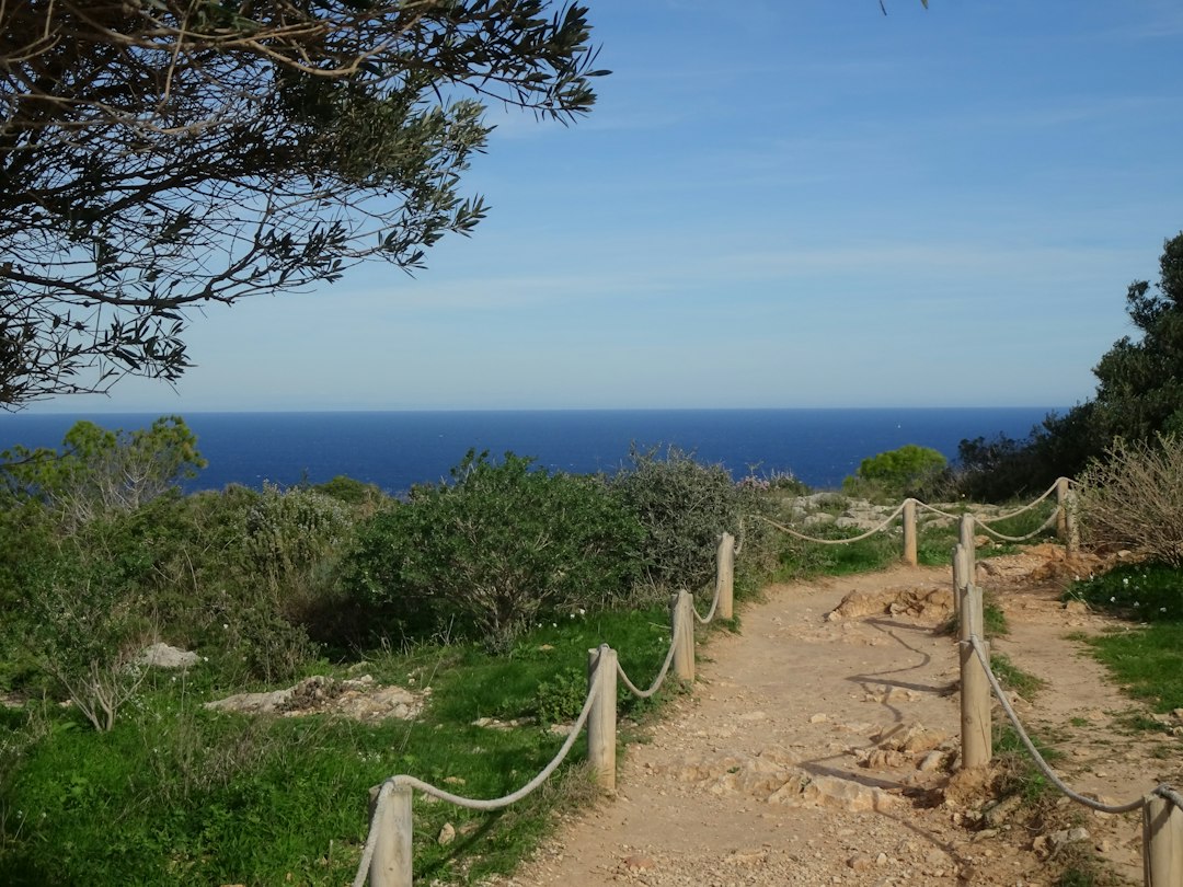A walking path leading through green shrubs toward the sea.